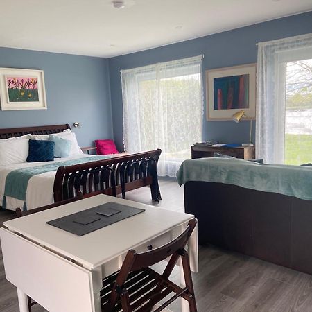 The Cosy Studio By The Shore غالواي المظهر الخارجي الصورة