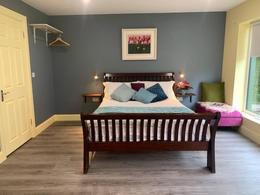 The Cosy Studio By The Shore غالواي المظهر الخارجي الصورة
